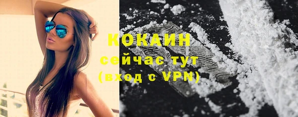 дмт Рославль