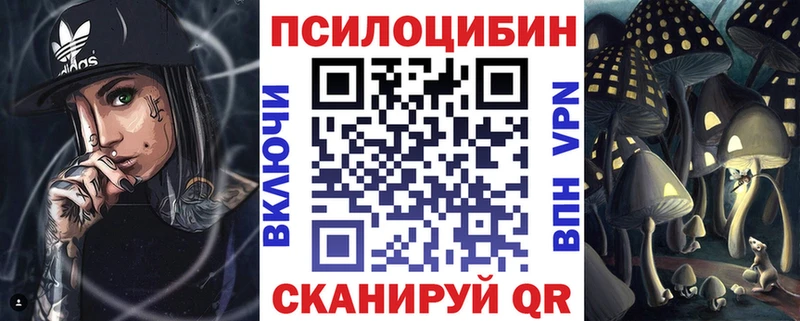 сколько стоит  Ейск  Псилоцибиновые грибы мицелий 